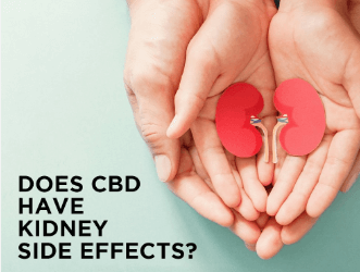 Cbd Oil And Creatinine Levels