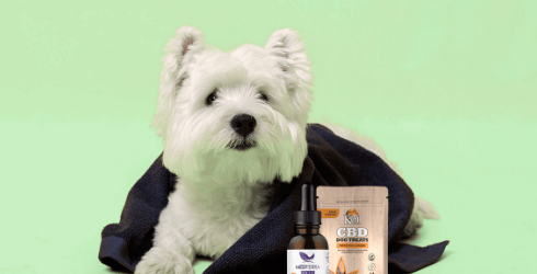 Cbd Oil For Dogs Near Me