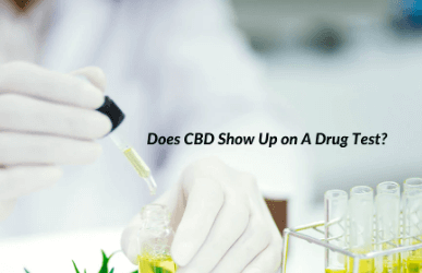 Does Cbd Show Up On Drug Tests Probation