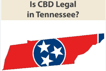 https://wayofwillcbd.com/is-cbd-legal-in-tennessee/