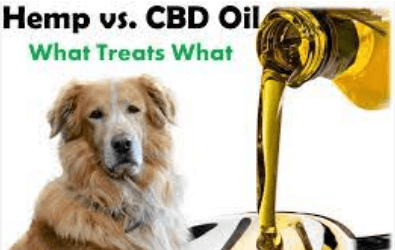 Cbd Vs Hemp Oil For Dogs