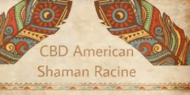 Cbd American Shaman Racine