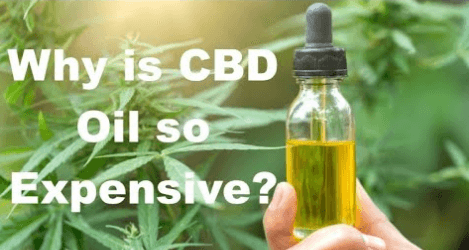 Why Is Cbd Oil So Expensive