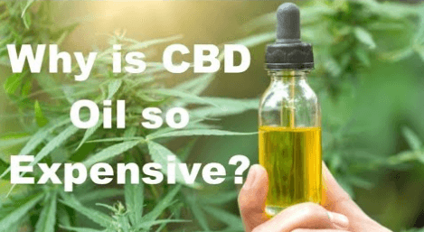 Why Is Cbd Oil So Expensive
