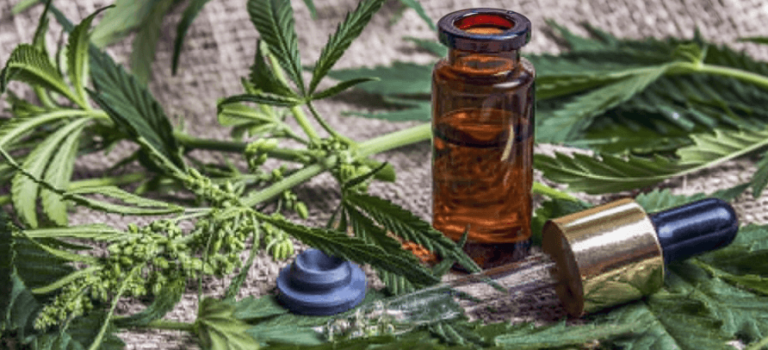 How to Give Cbd Oil to Dogs