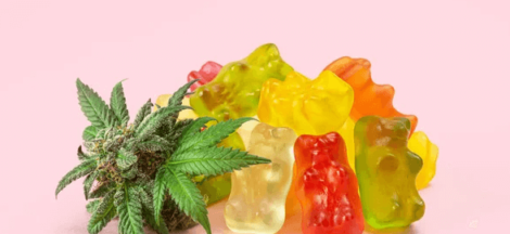 How Long Does 1 Cbd Gummy Stay in Your System