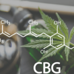 What Is the Difference Between Cbd and Cbg