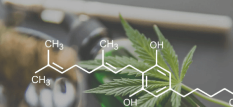 What Is the Difference Between Cbd and Cbg