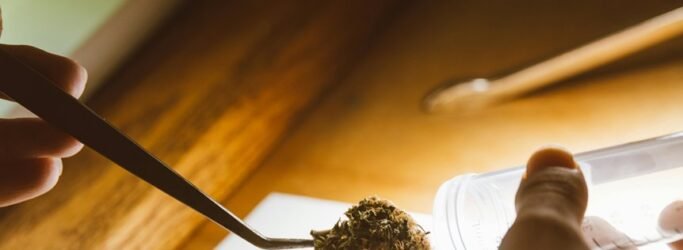 cbd and drug testing