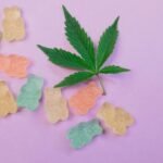 cbd edibles flying legality