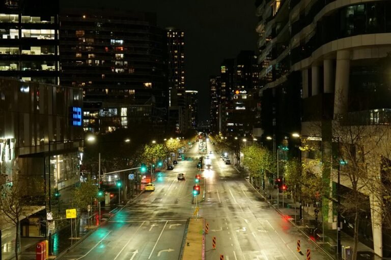 cbd impact on driving