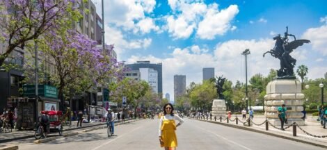 cbd legality in mexico