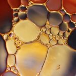cbd oil and prednisone interaction