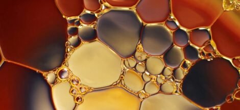 cbd oil and prednisone interaction