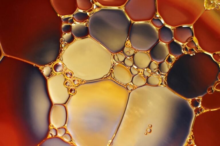 cbd oil and prednisone interaction