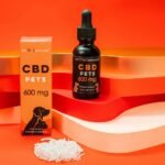 cbd oil duration in dogs