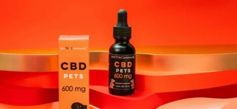 cbd oil duration in dogs
