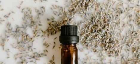cbd oil production process
