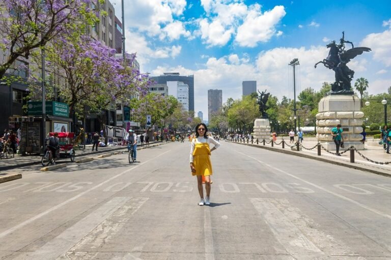 cbd regulations in mexico