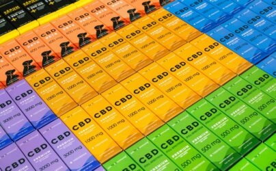 cbd safety for dogs