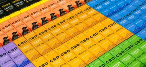 excessive cbd effects dogs