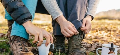 humans using cbd oil