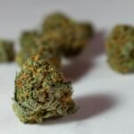 optimal thc cbd ratio