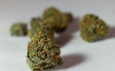 optimal thc cbd ratio