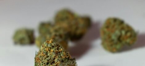 optimal thc cbd ratio