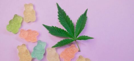 purchasing cbd edible products
