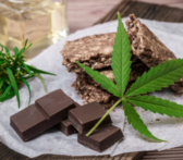 Choosing and Enjoying Edibles: A Guide to Dosing and Experience