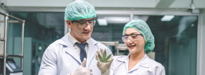 How Cannabis Can Support Mental Health and PTSD Recovery
