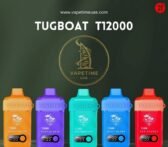 LUXURY VAPING REINVENTED WITH GEEK BAR ICE PRINCE